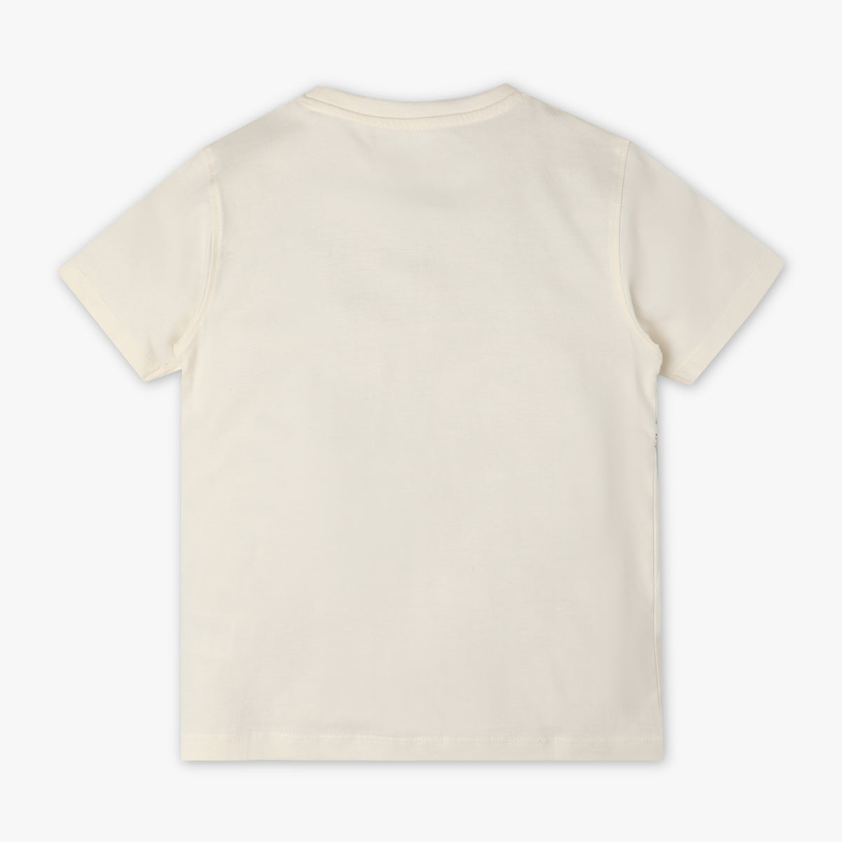 Boys Regular Fit Printed Crew Neck Half Sleeve T-Shirt
