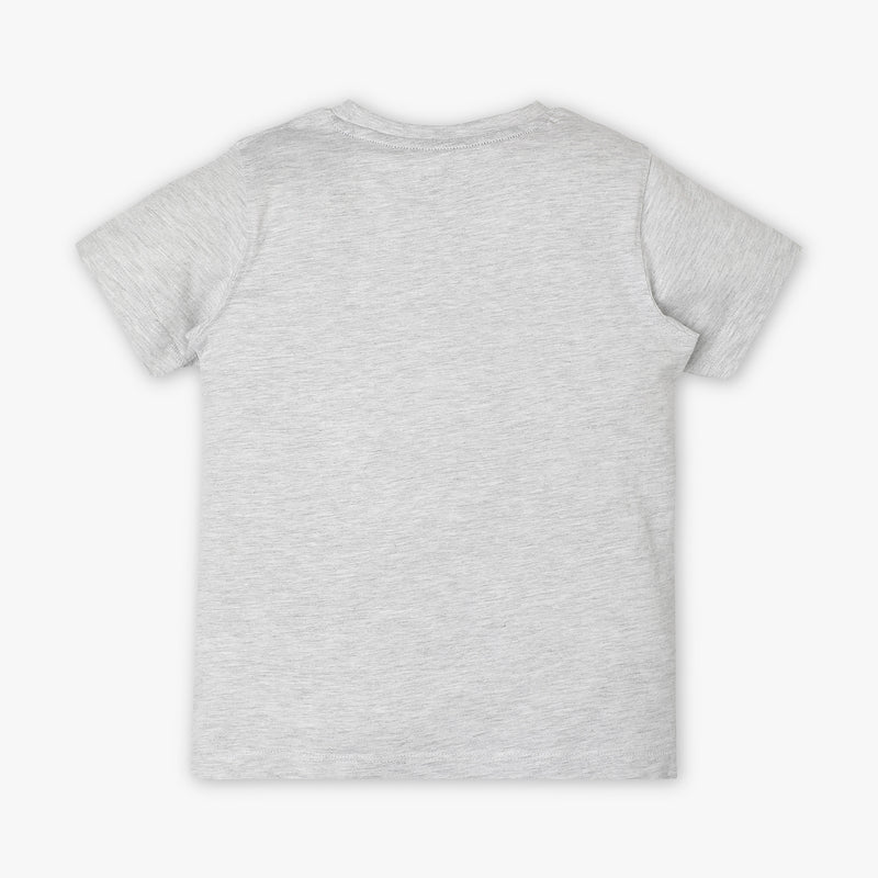 Boys Regular Fit Crew Neck Graphic T-Shirt