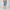 Boys Fashion Mid Rise Shorts