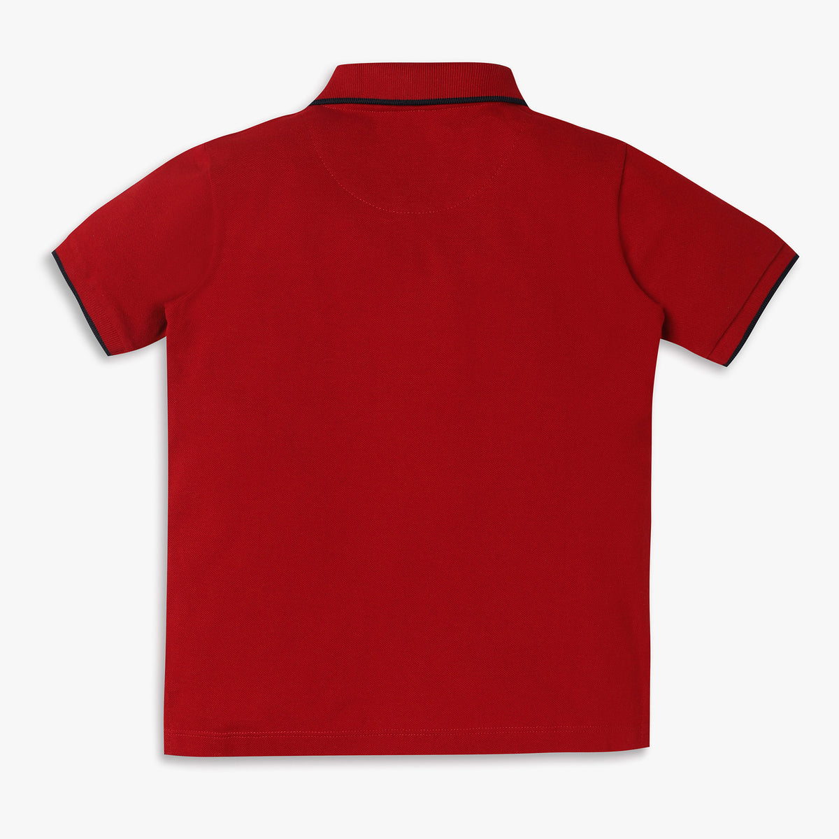 Boys Regular Fit Cut and Sew Polo T-Shirt