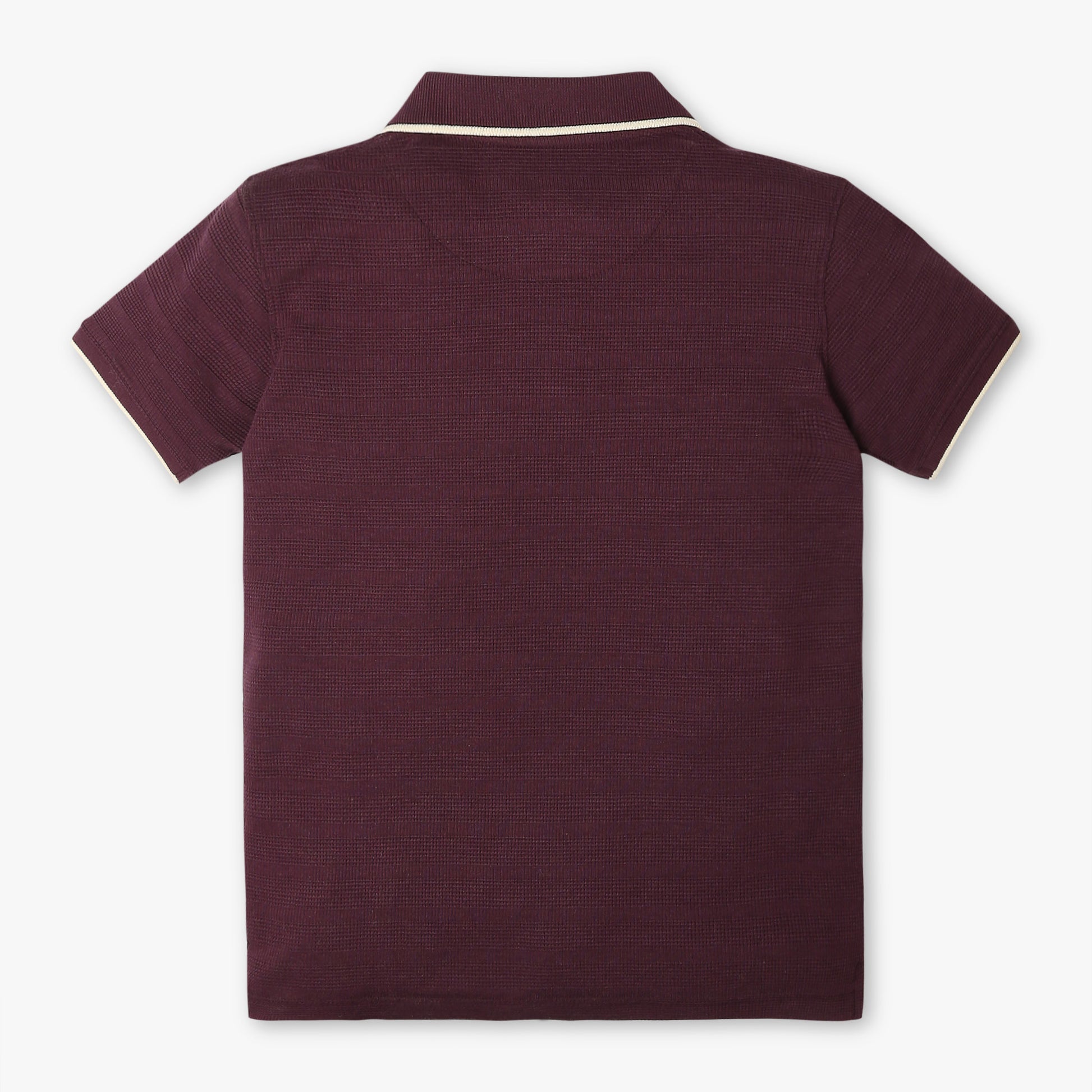 Boys Regular Fit Solid Polo Neck Half Sleeve Polo T-Shirt