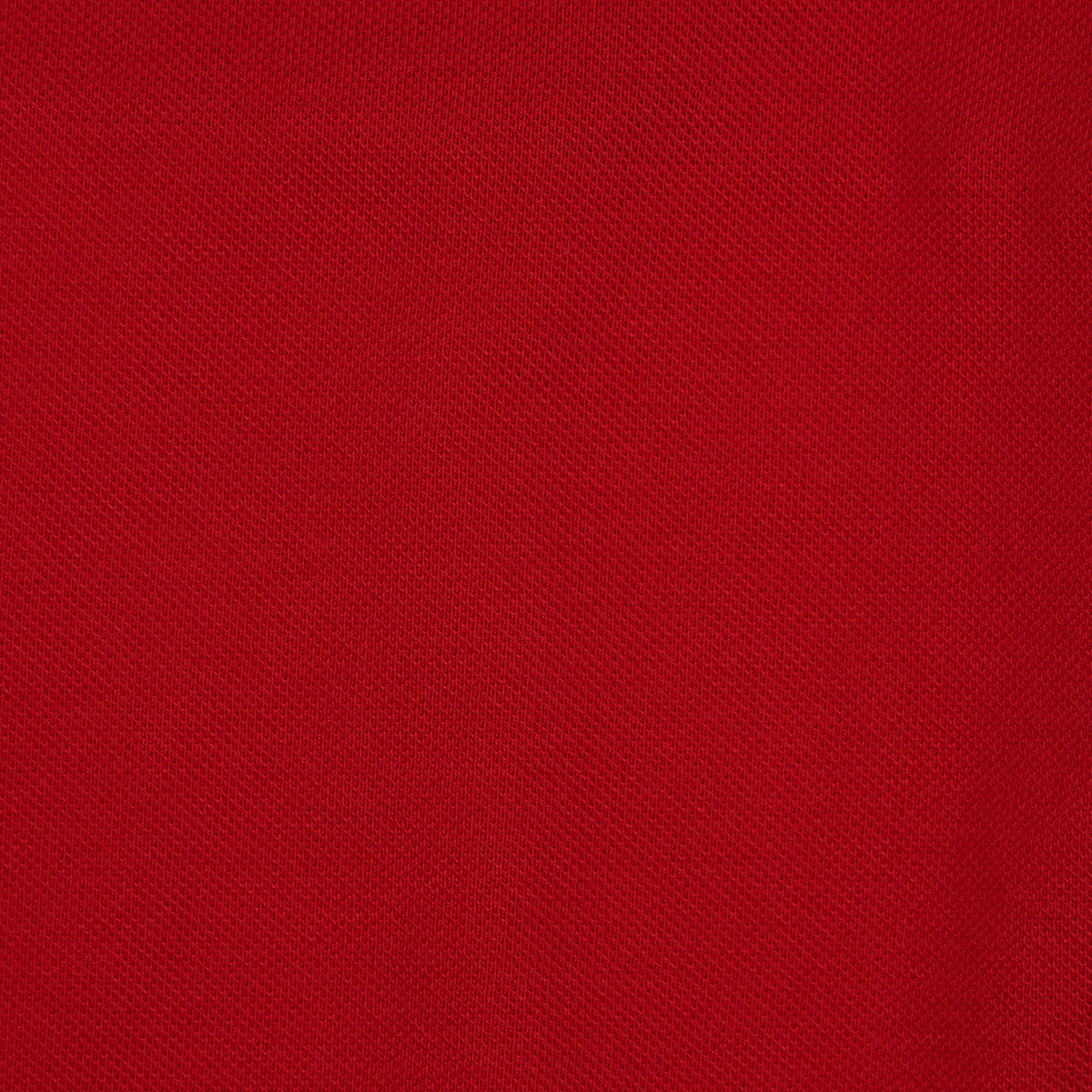 Boys Cotton Cut and Sew Zipper Polo T-Shirt
