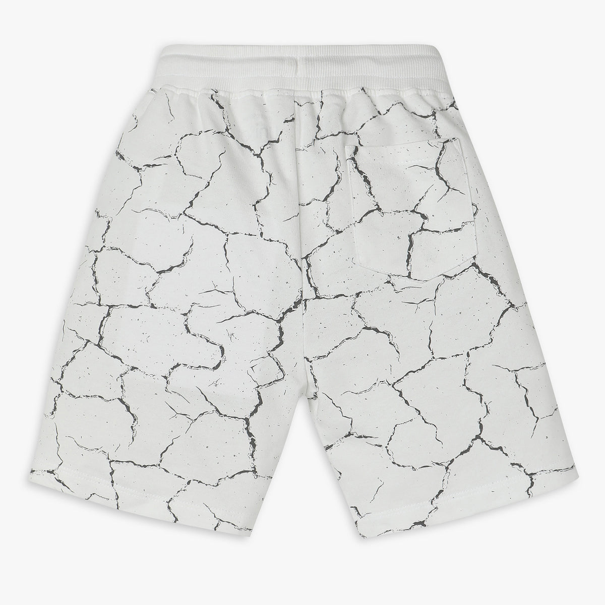 Boys Regular Fit Printed Shorts