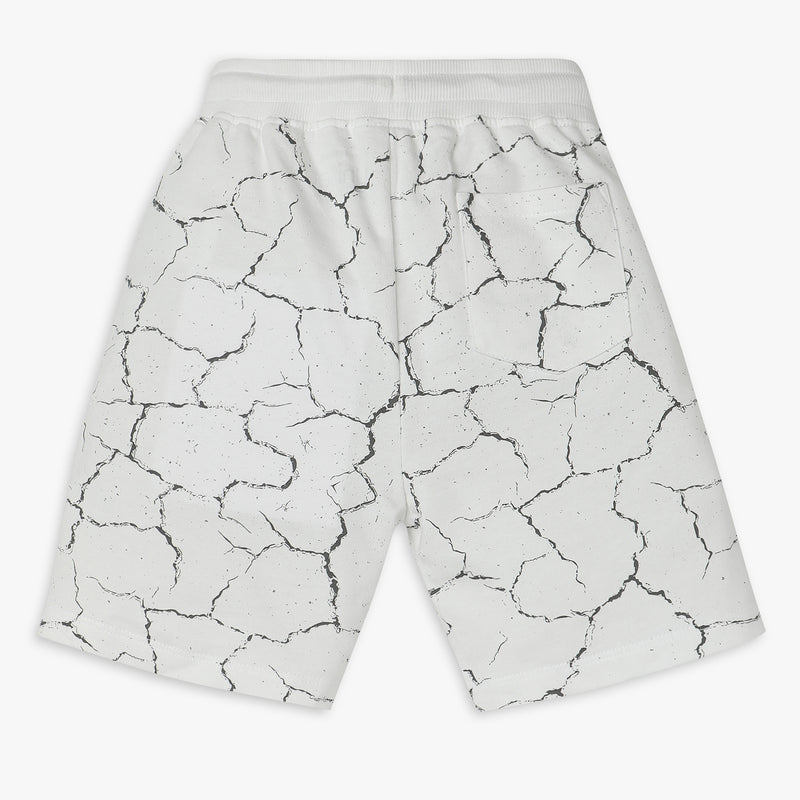 Boys Regular Fit Printed Shorts