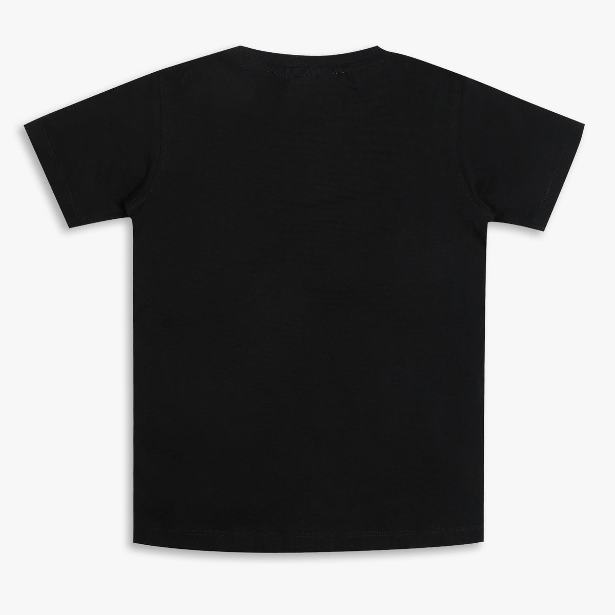 Boys Regular Fit Cut and Sew T-Shirt