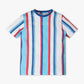 Boys Regular Fit Crew Neck Striped T-Shirt