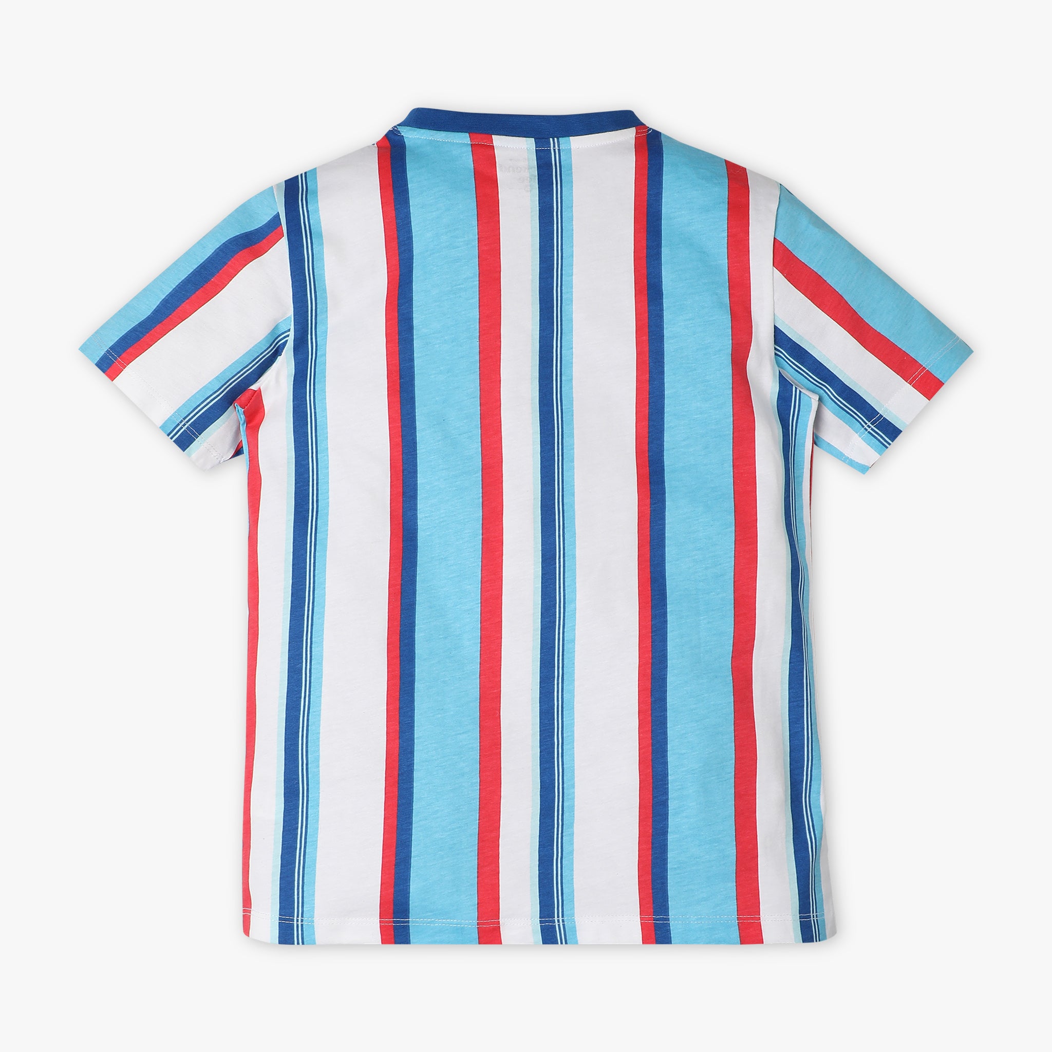 Boys Regular Fit Crew Neck Striped T-Shirt