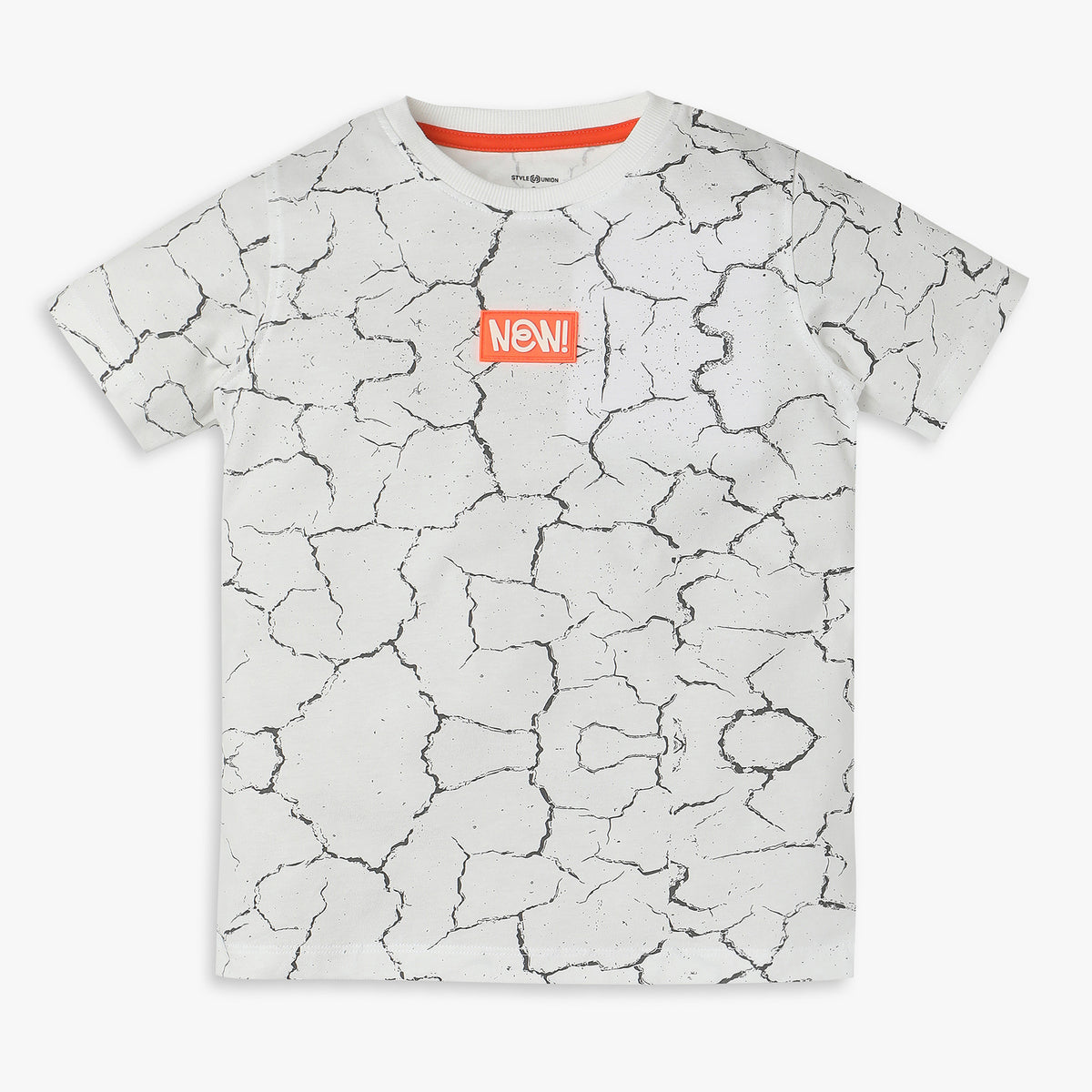 Boys Regular Fit Printed T-Shirt