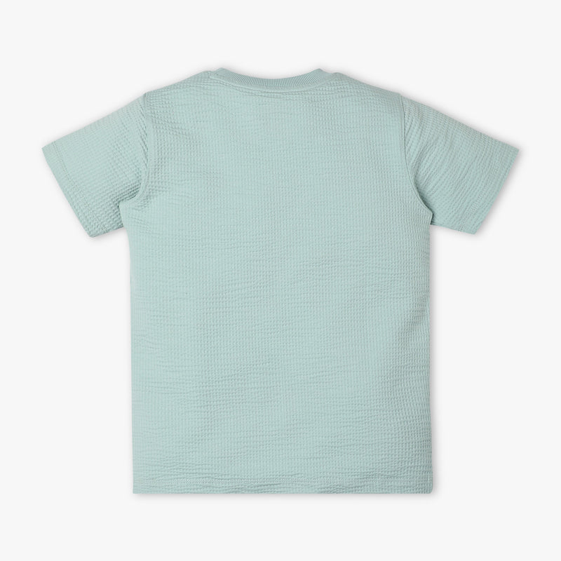 Boys Regular Fit Crew Neck Solid T-Shirt