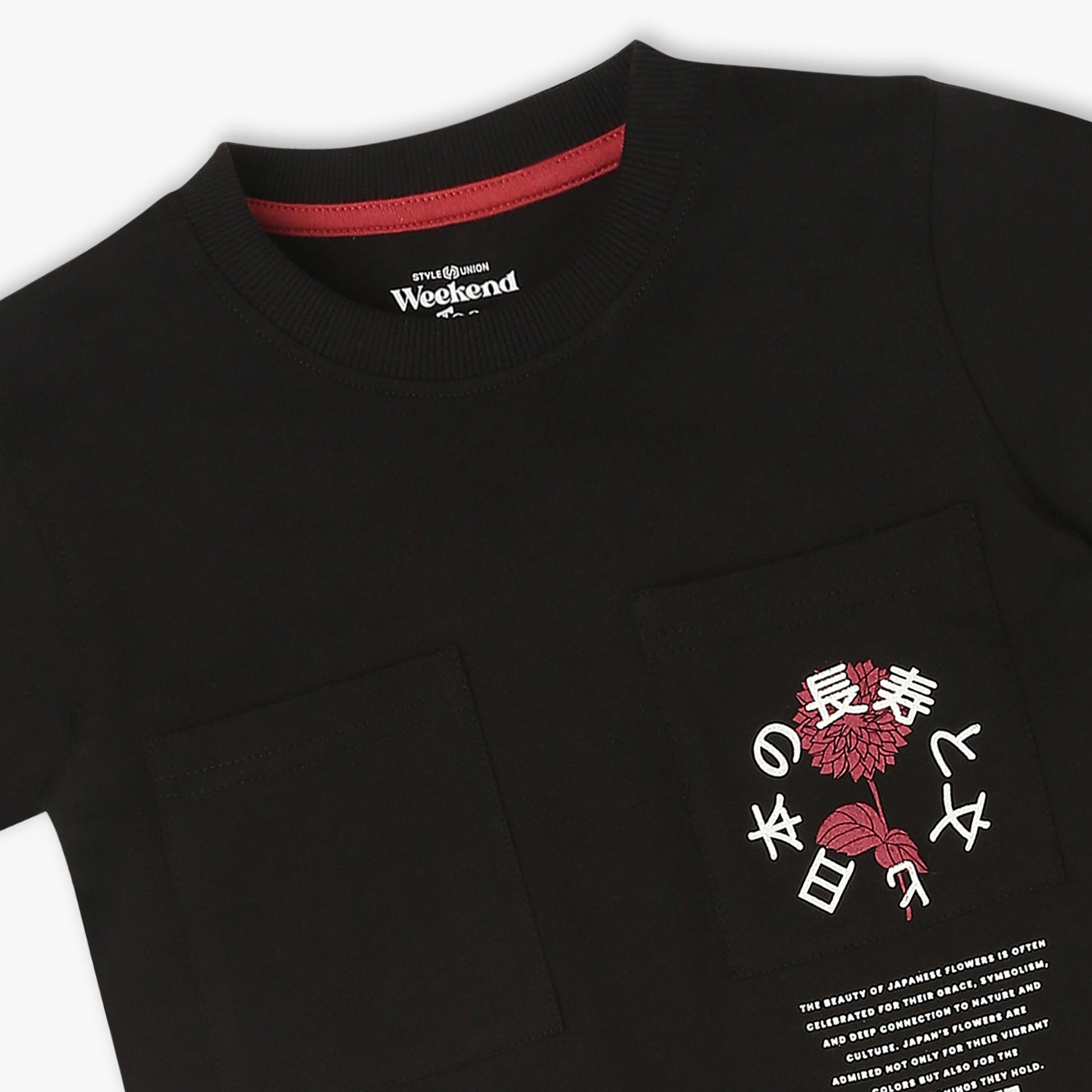 Boys Regular Fit Printed Crew Neck Half Sleeve T-Shirt