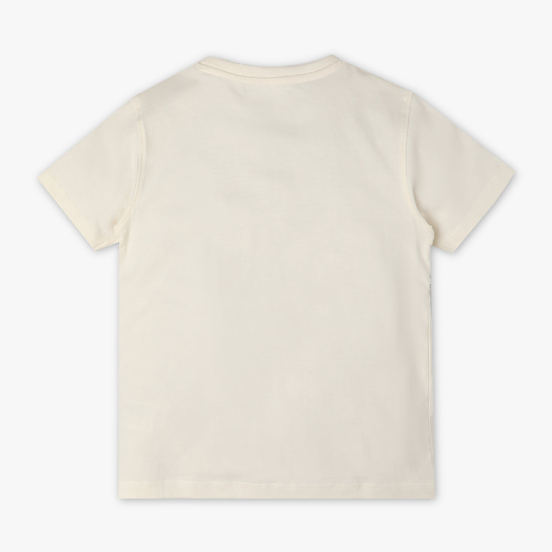 Boys Regular Fit Printed Crew Neck Half Sleeve T-Shirt