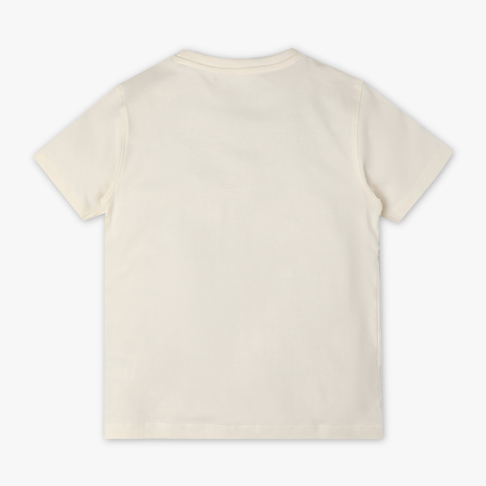 Boys Regular Fit Printed Crew Neck Half Sleeve T-Shirt