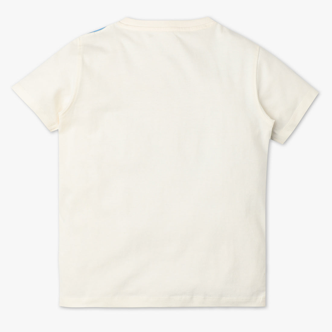Boys Regular Fit Printed Crew Neck Half Sleeve T-Shirt