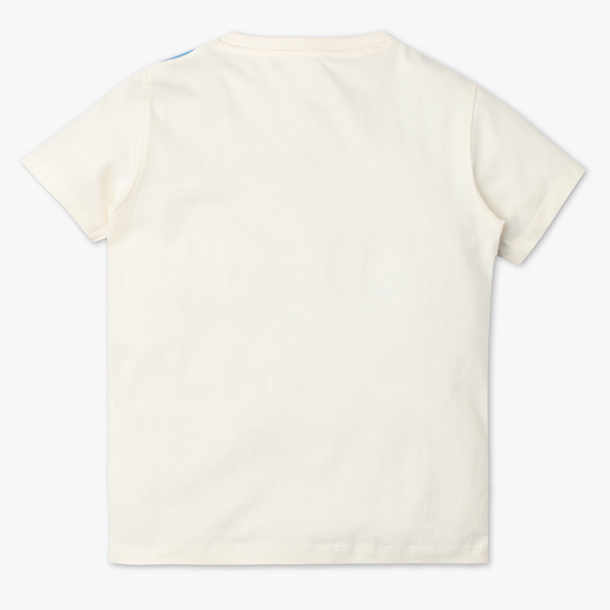 Boys Regular Fit Printed Crew Neck Half Sleeve T-Shirt