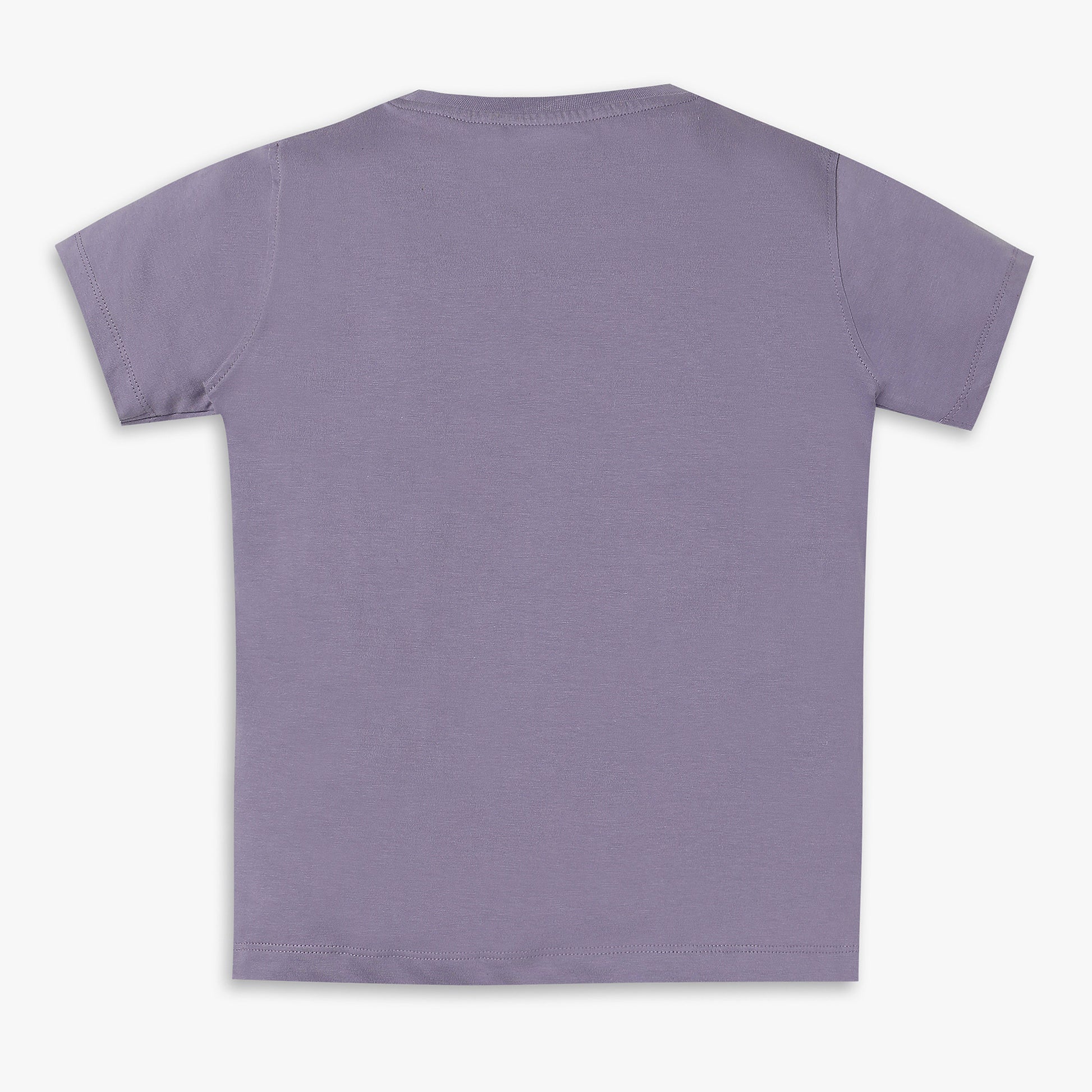 Boys Regular Fit Printed T-Shirt