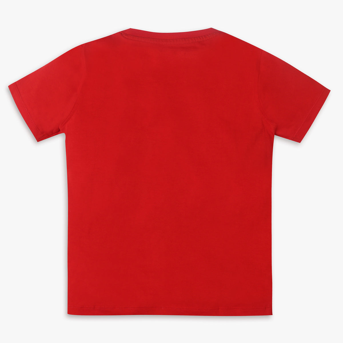 Boys Regular Fit Printed T-Shirt