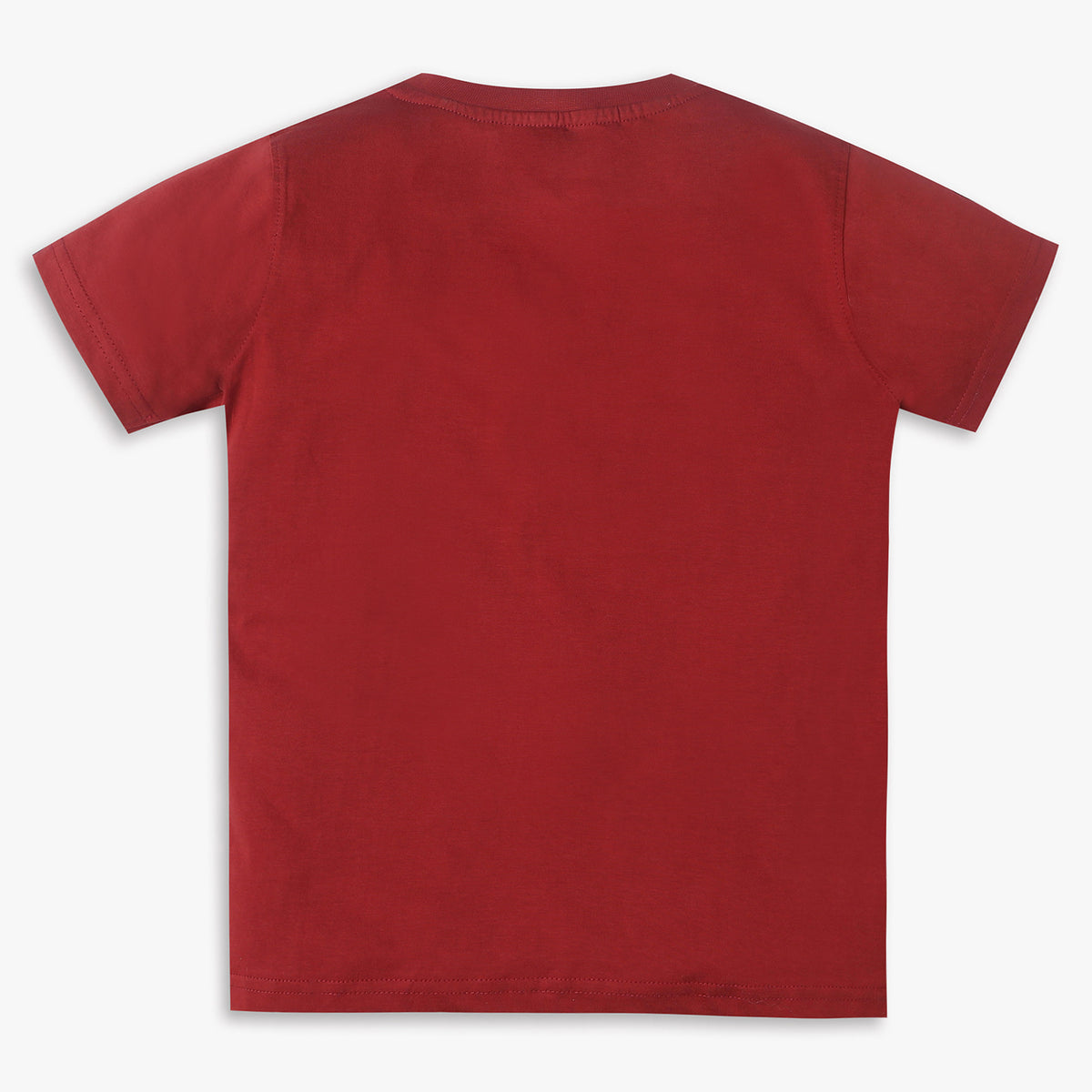 Boys Regular Fit Printed T-Shirt