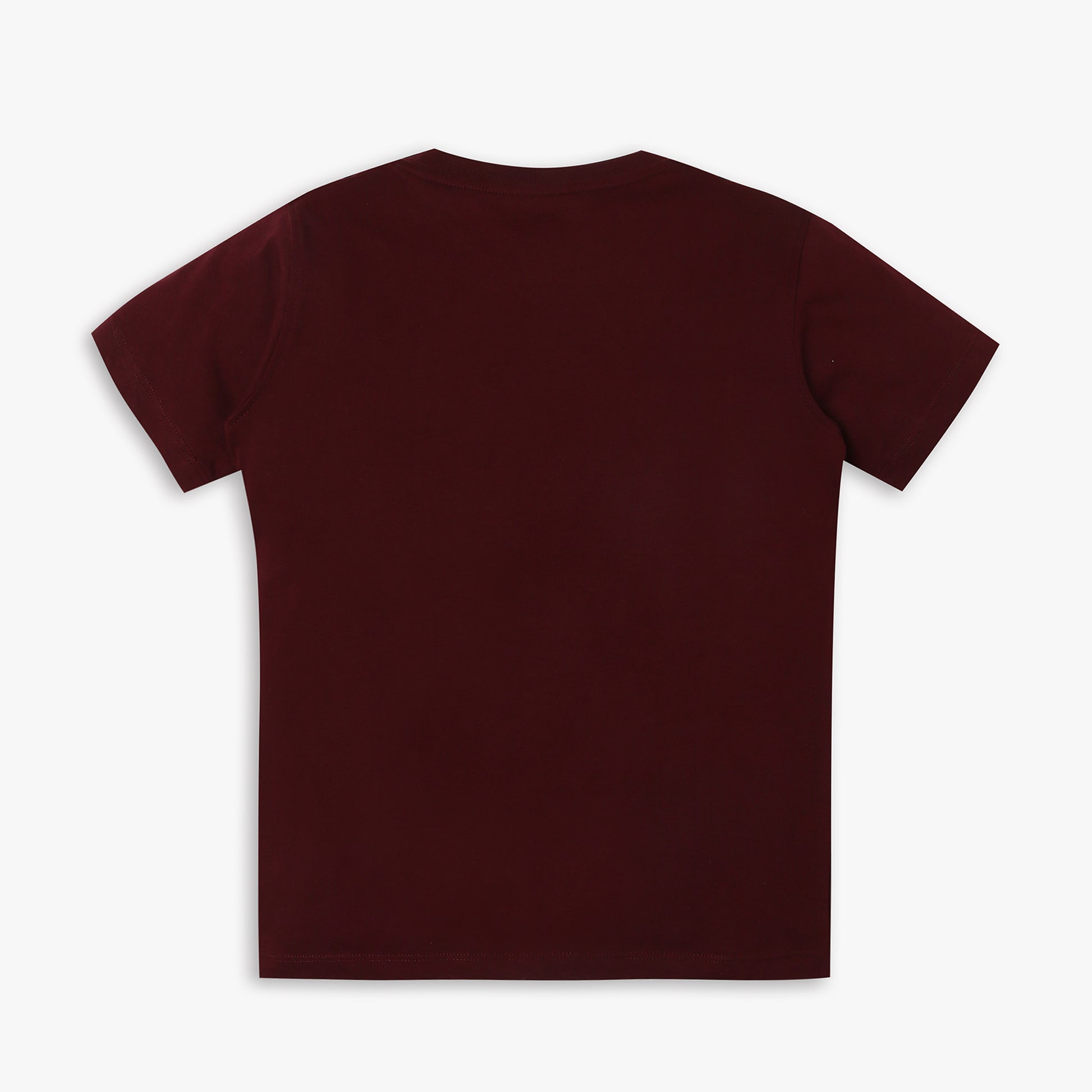 Boys Regular Fit Printed T-Shirt