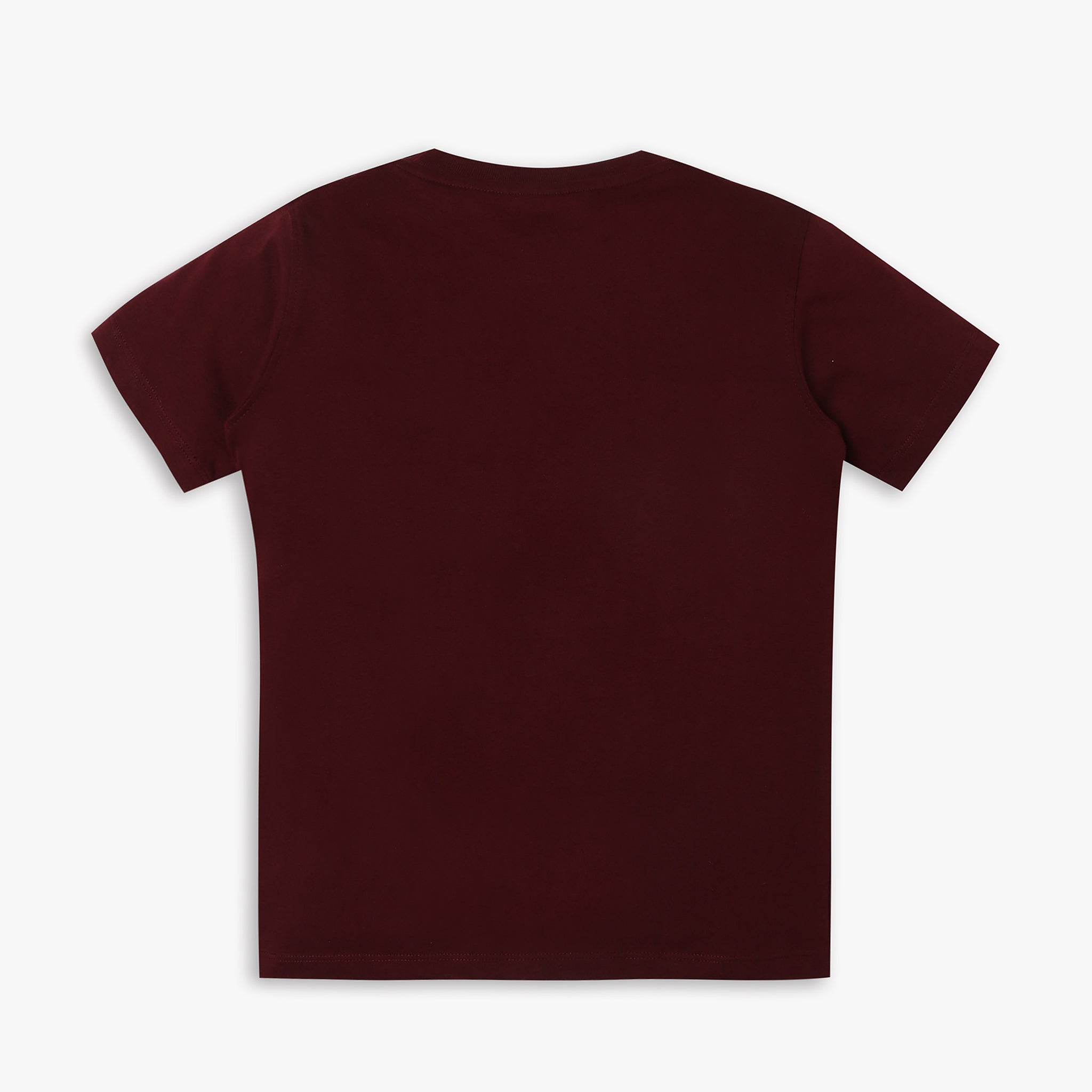 Boys Regular Fit Printed T-Shirt