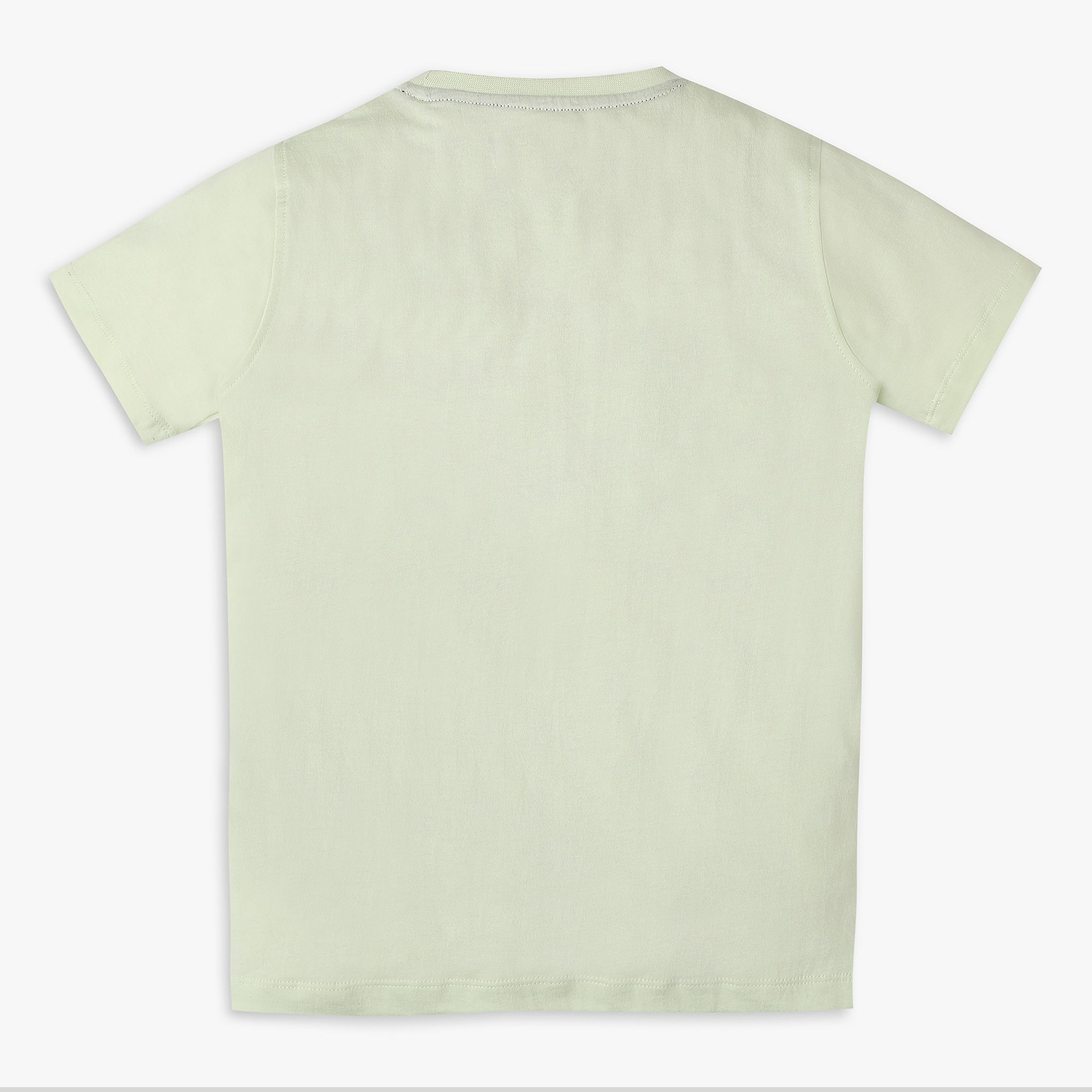 Boys Regular Fit Graphic T-Shirt