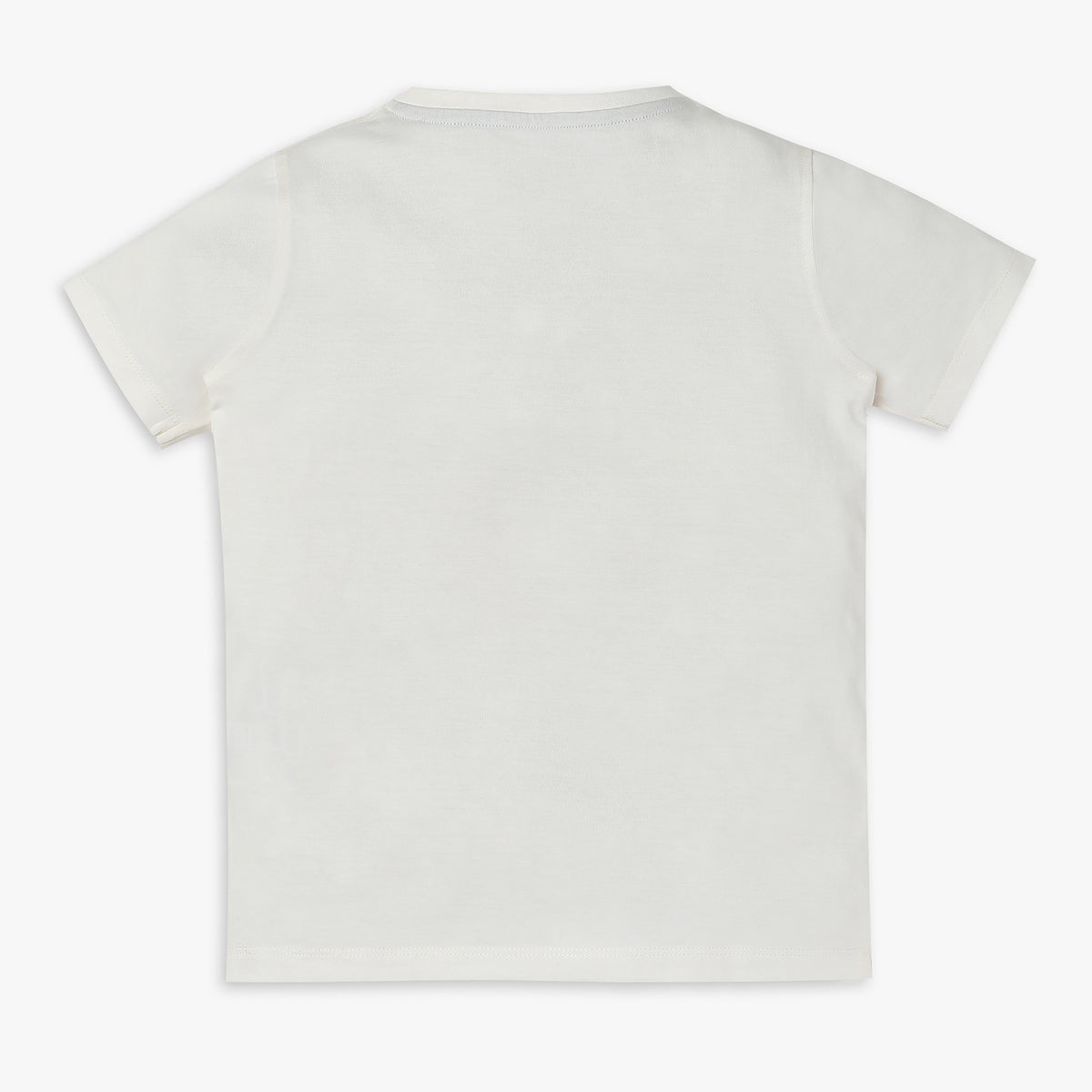 Boys Regular Fit Graphic T-Shirt