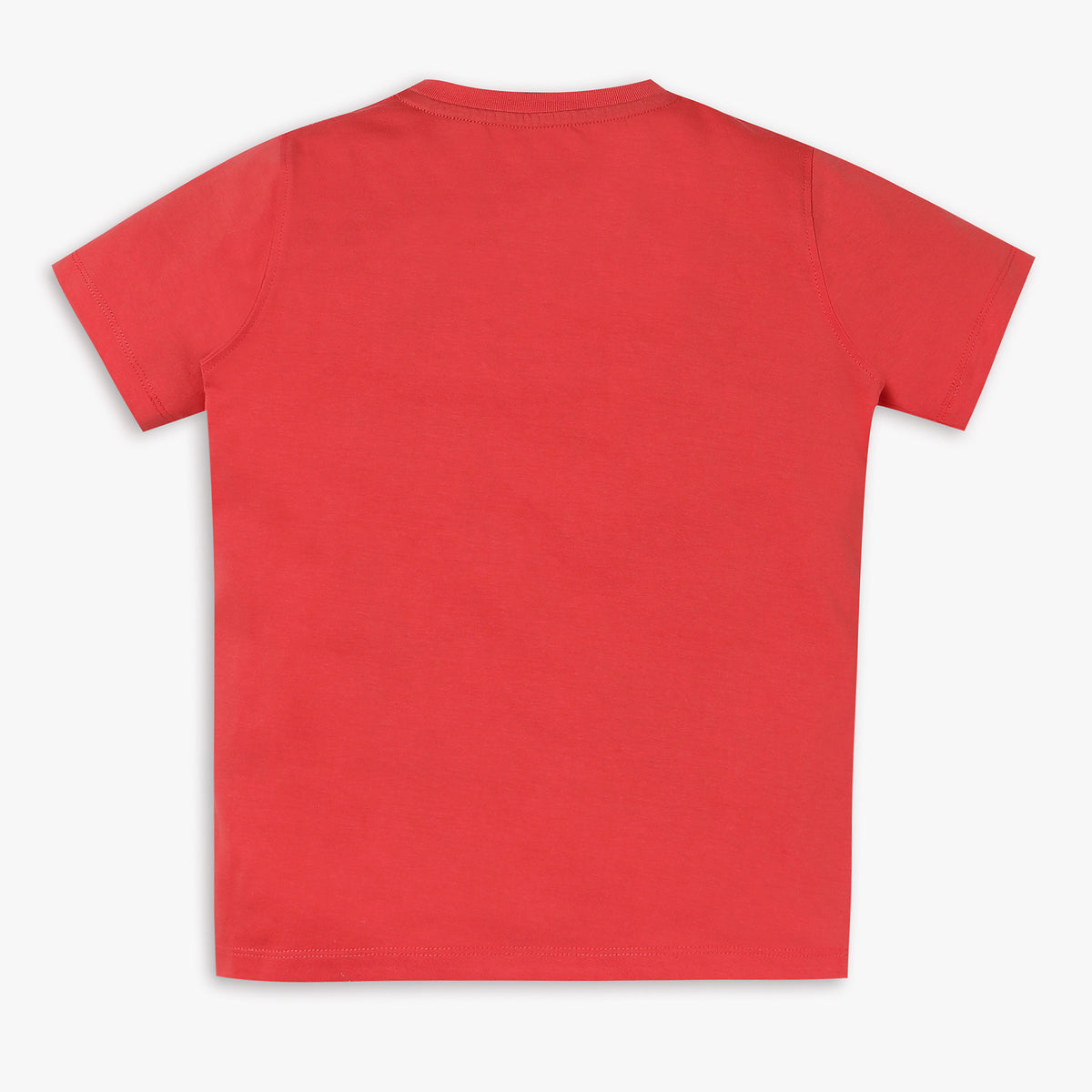 Boys Regular Fit Graphic T-Shirt