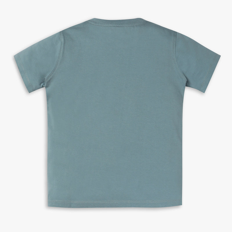 Boys Regular Fit Graphic T-Shirt