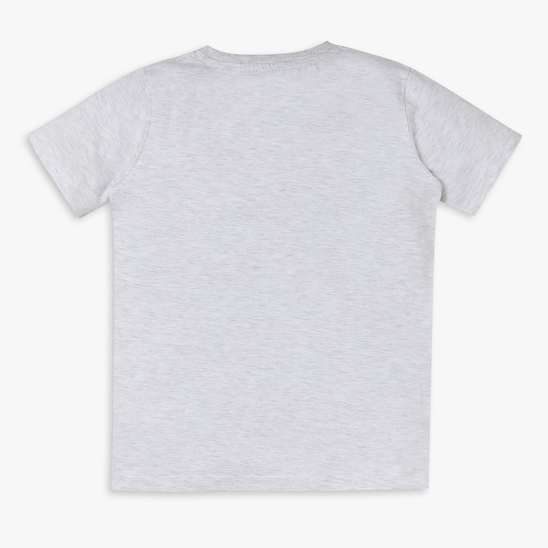 Boys Regular Fit Graphic T-Shirt