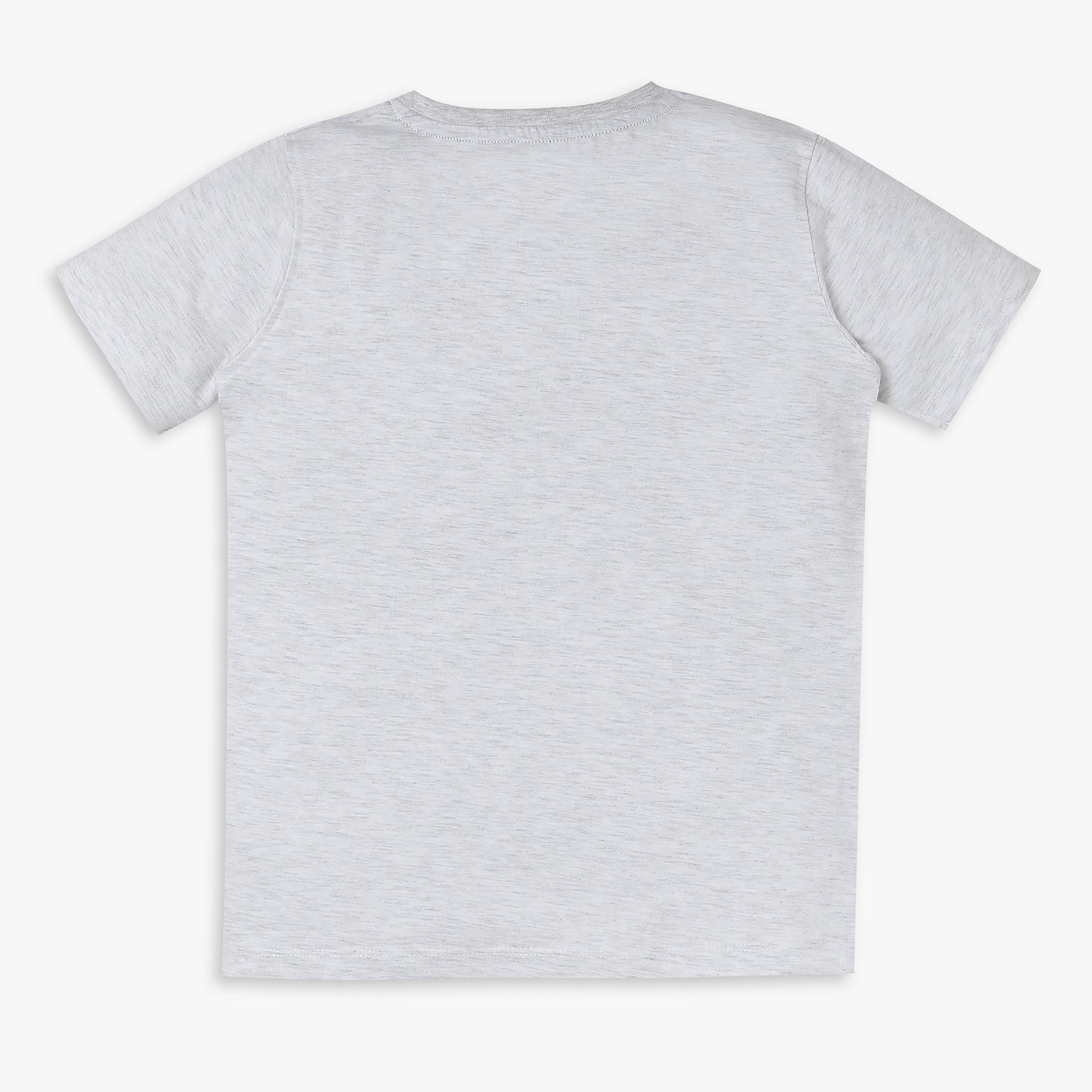 Boys Regular Fit Graphic T-Shirt
