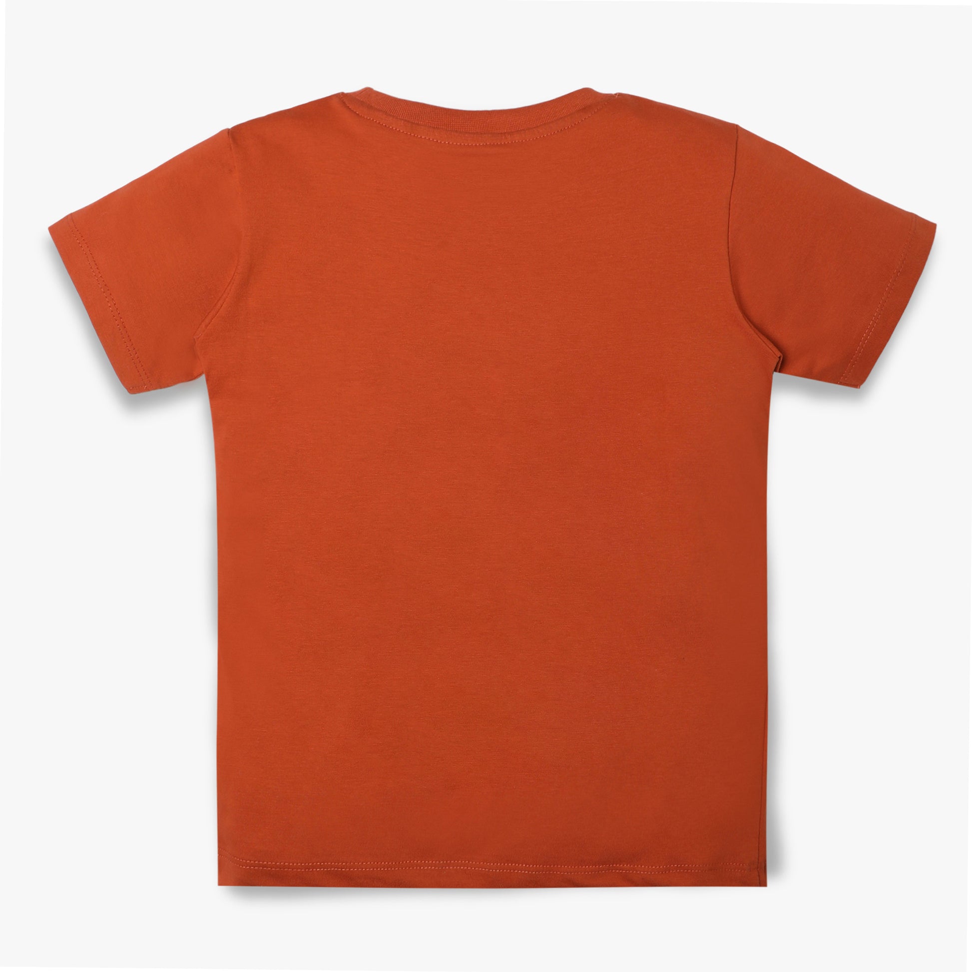 Boys Regular Fit Graphic T-Shirt