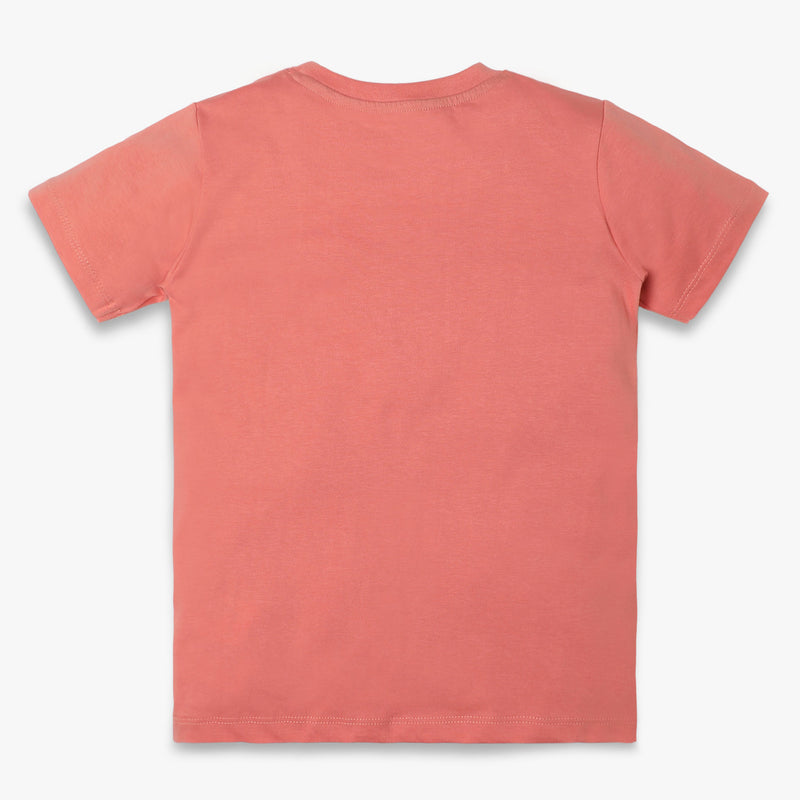 Boys Regular Fit Graphic T-Shirt