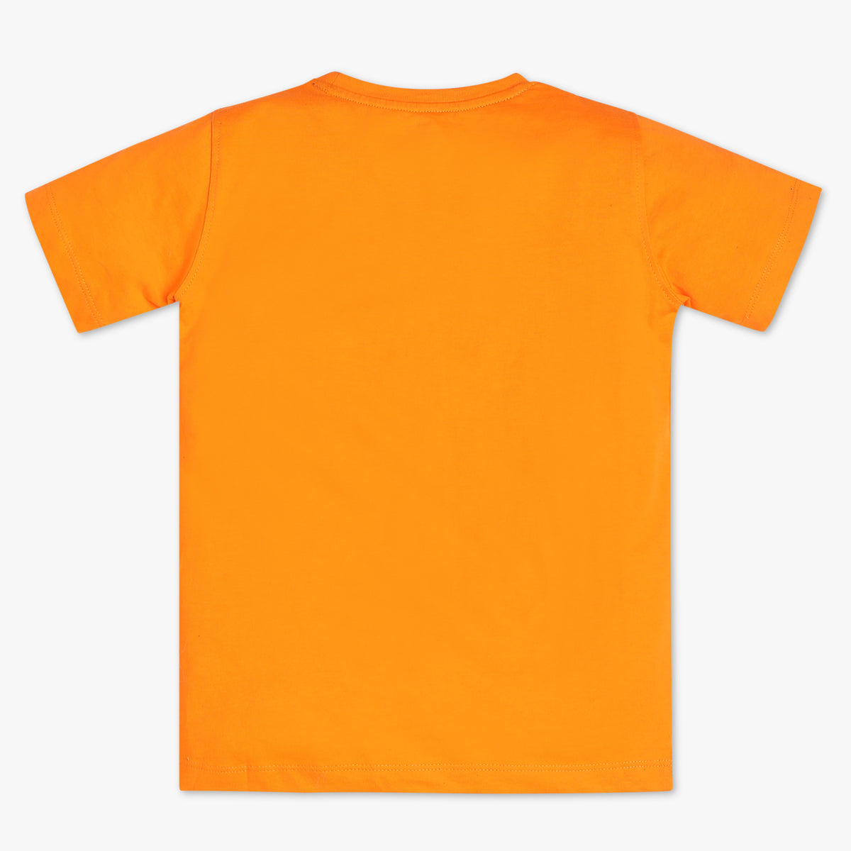 Boys Regular Fit Graphic T-Shirt