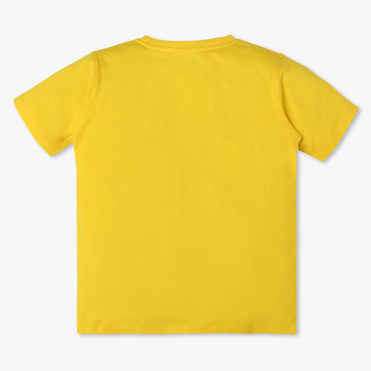 Boys Regular Fit Graphic T-Shirt