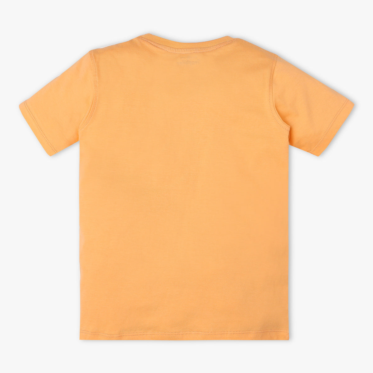 Boys Regular Fit Graphic T-Shirt