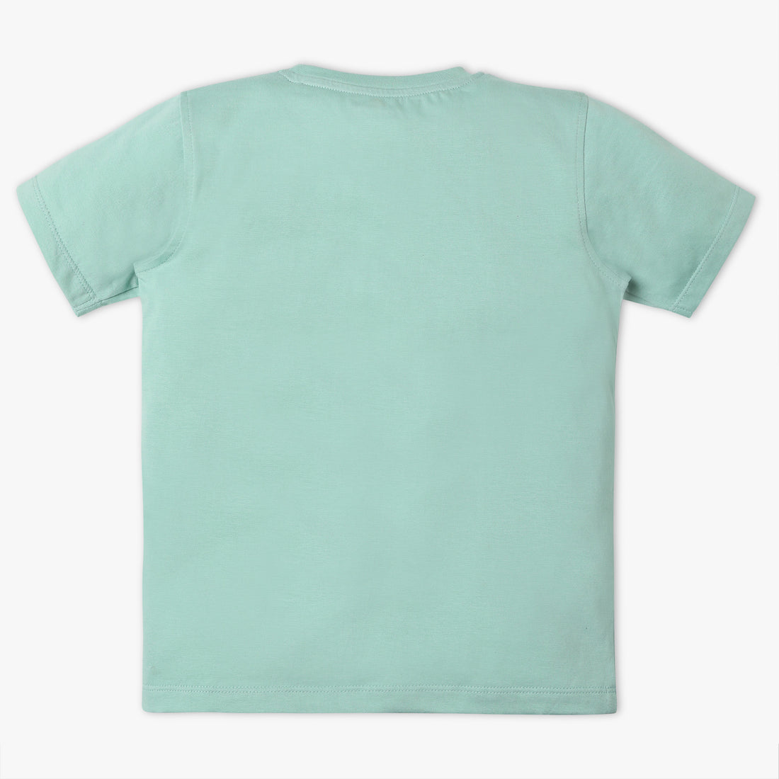 Boys Regular Fit Graphic Crew Neck T-Shirt
