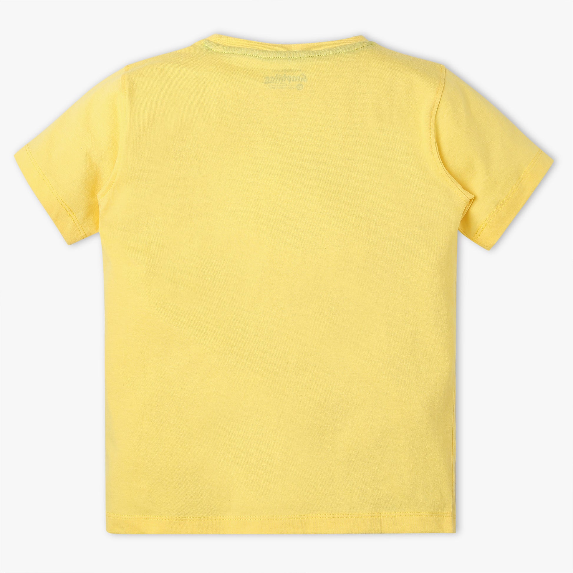 Boys Regular Fit Graphic Crew Neck T-Shirt