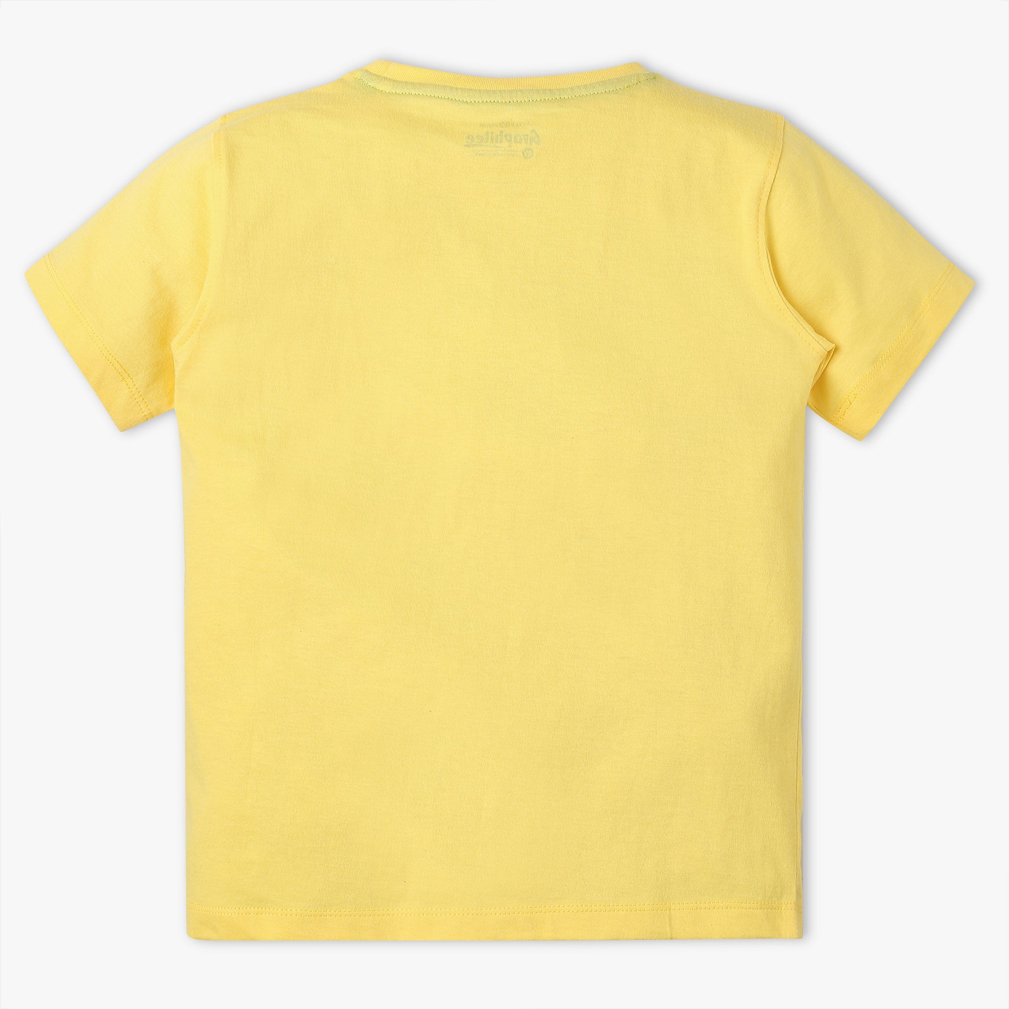 Boys Regular Fit Graphic Crew Neck T-Shirt