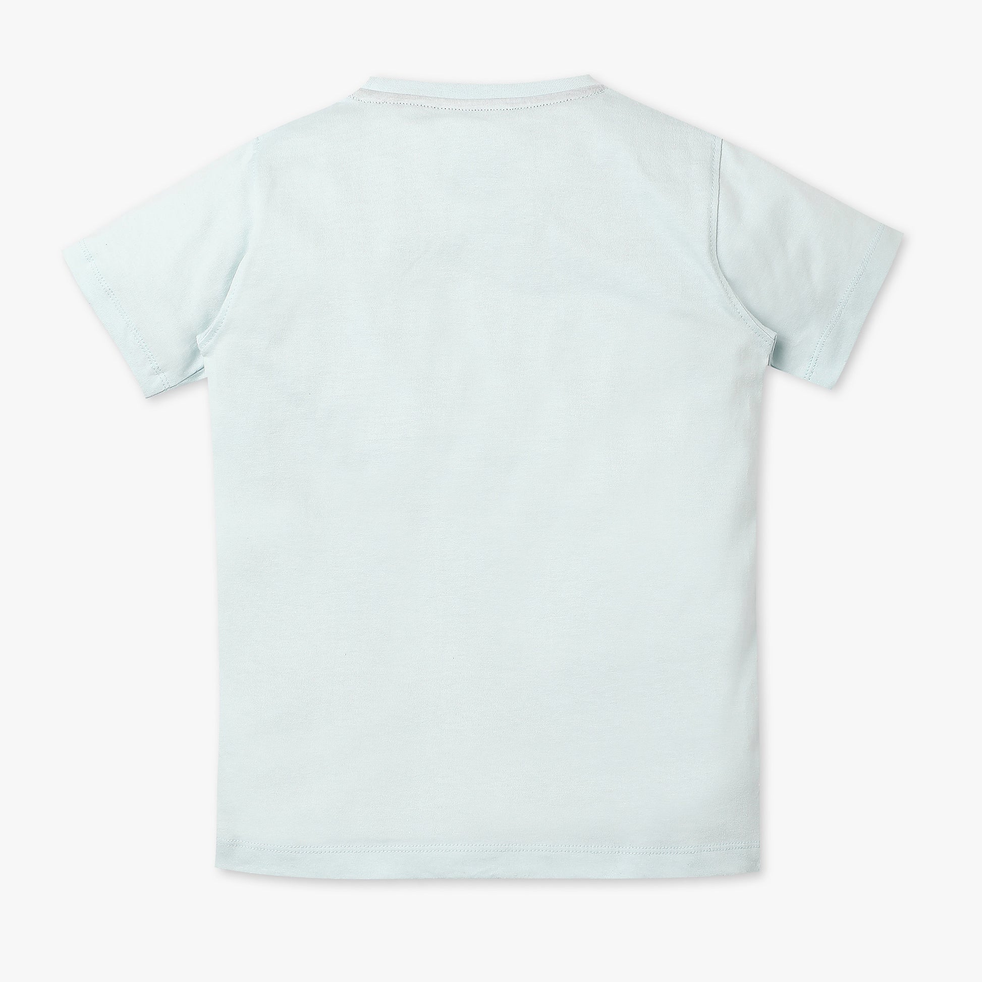 Boys Regular Fit Graphic Crew Neck T-Shirt