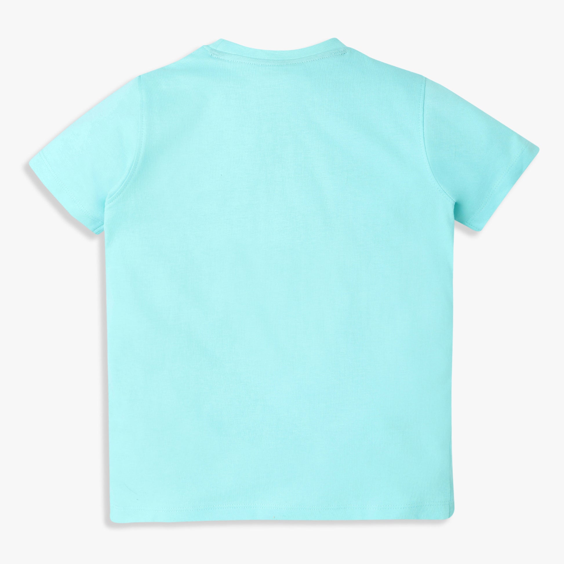 Boys Regular Fit Graphic Crew Neck T-Shirt