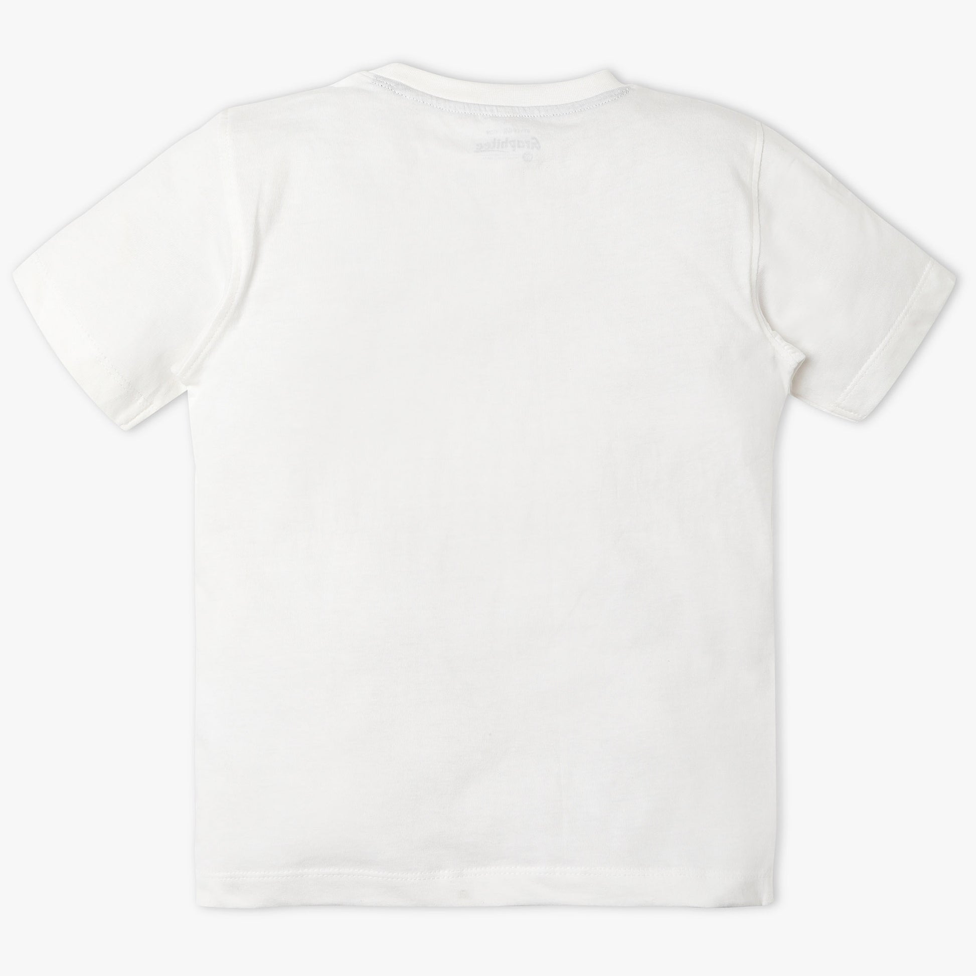 Boys Regular Fit Graphic Crew Neck T-Shirt