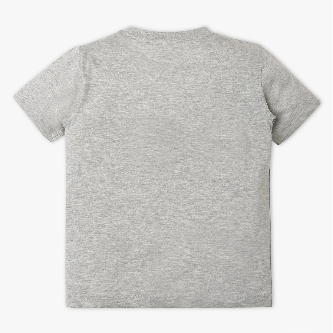 Boys Regular Fit Graphic Crew Neck T-Shirt