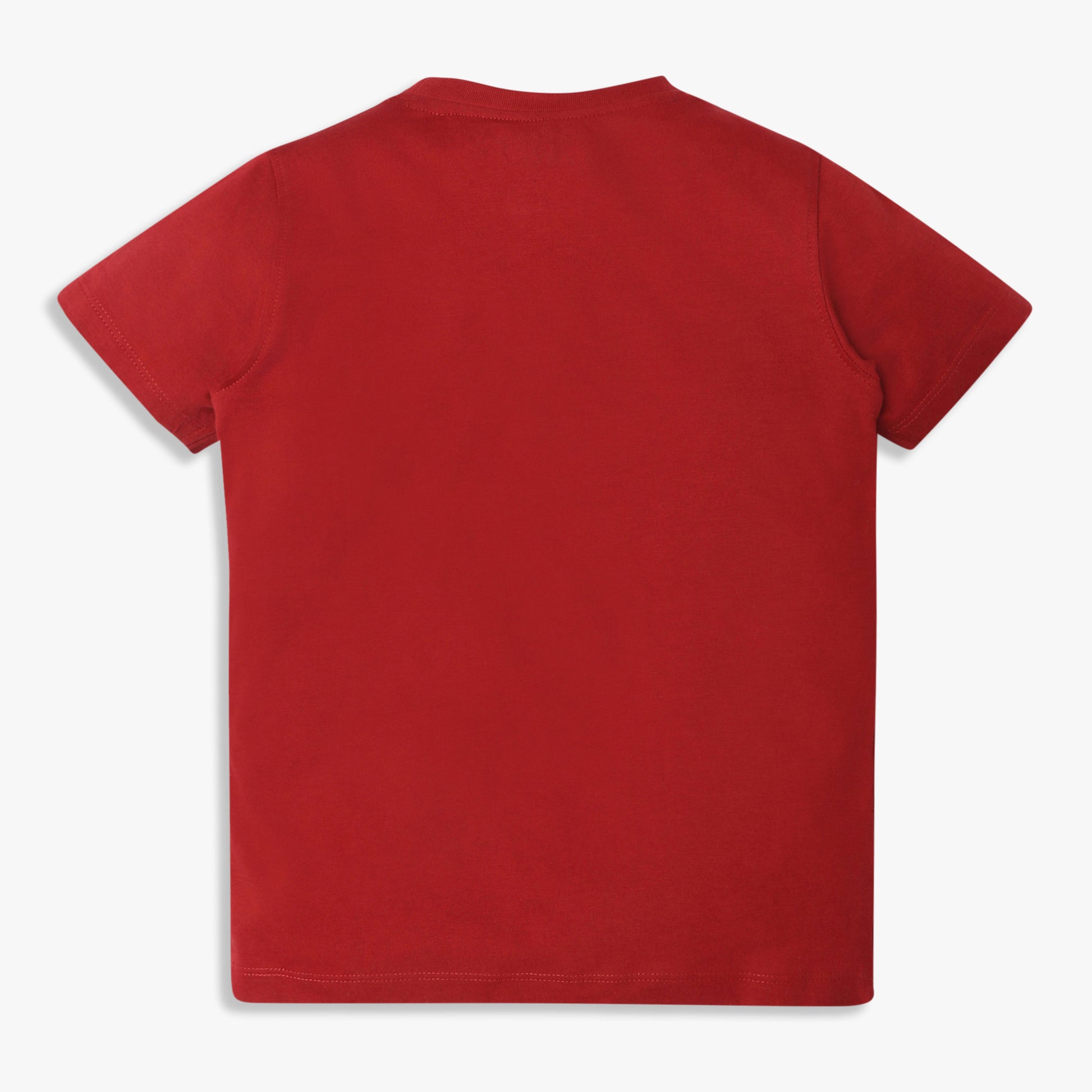 Boys Regular Fit Graphic Crew Neck T-Shirt