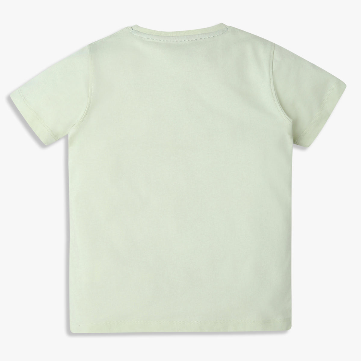 Boys Regular Fit Graphic Crew Neck T-Shirt