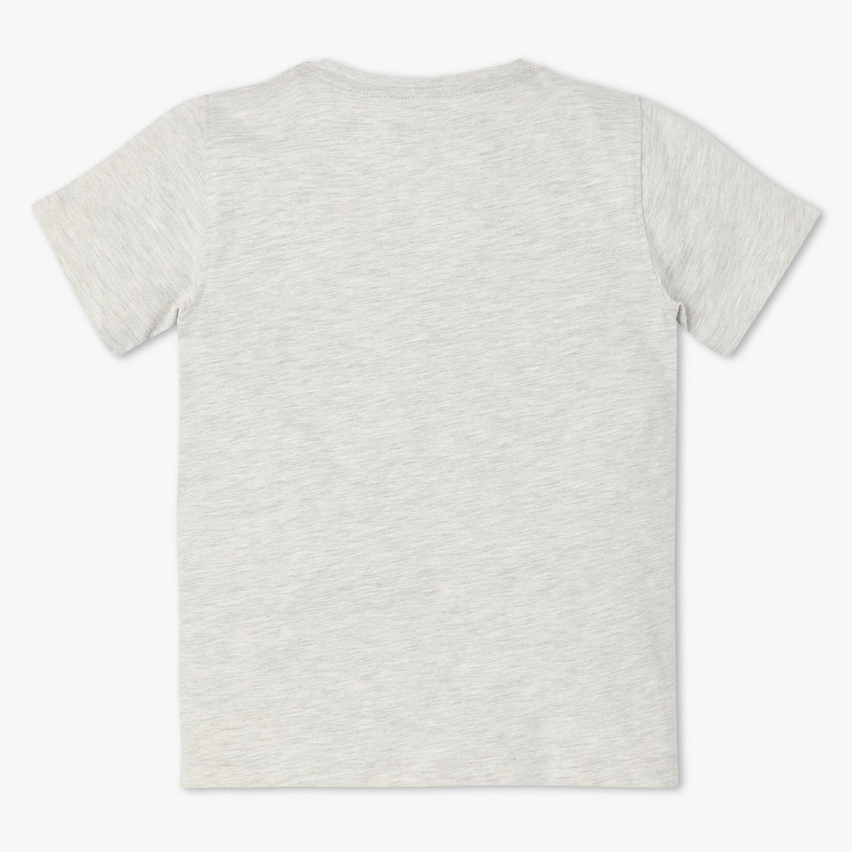 Boys Regular Fit Graphic Crew Neck Half Sleeve T-Shirt