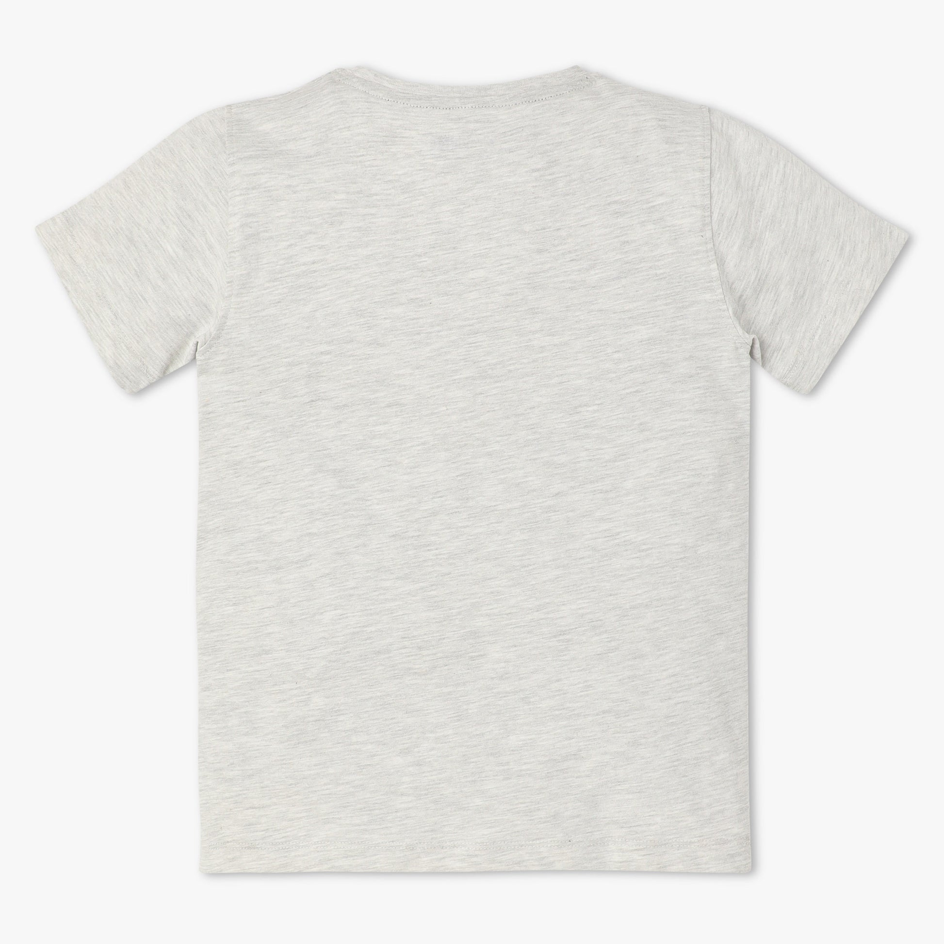 Boys Regular Fit Graphic Crew Neck Half Sleeve T-Shirt