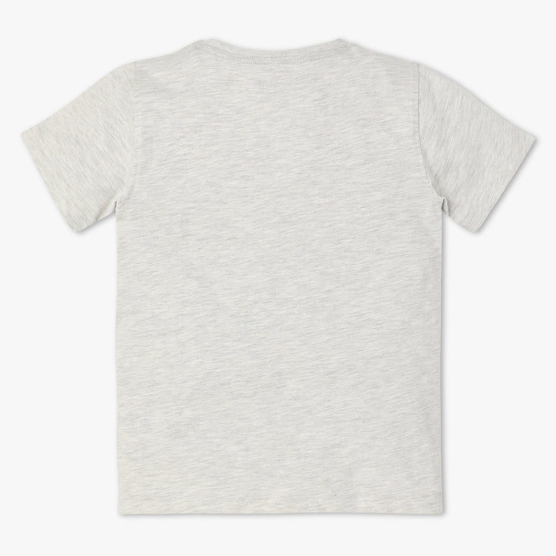 Boys Regular Fit Graphic Crew Neck Half Sleeve T-Shirt