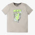 Boys Regular Fit Graphic Crew Neck T-Shirt
