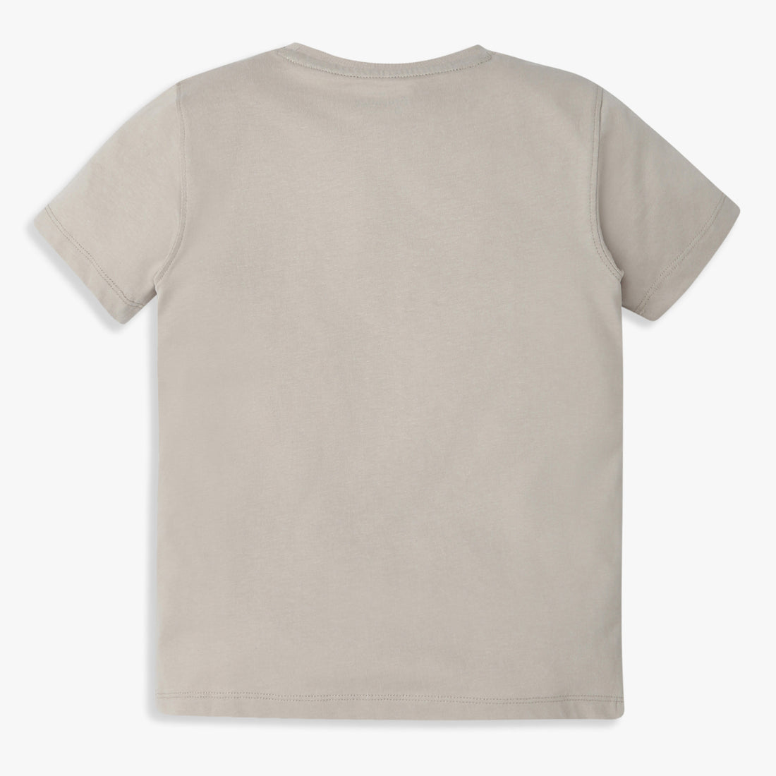 Boys Regular Fit Graphic Crew Neck T-Shirt