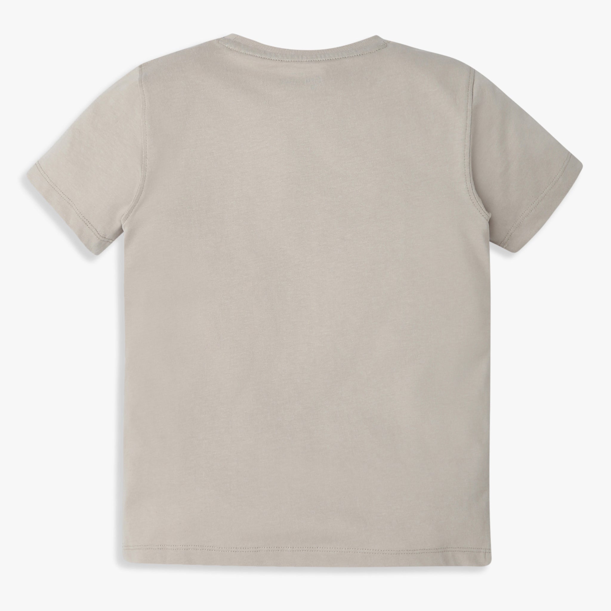 Boys Regular Fit Graphic Crew Neck T-Shirt