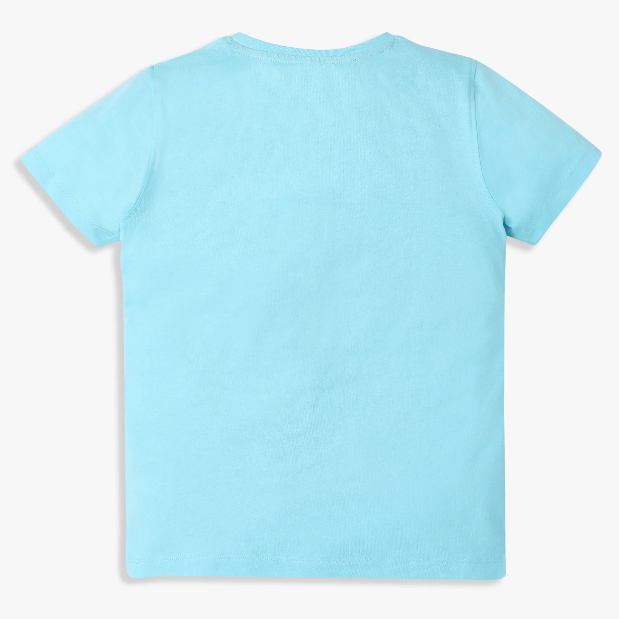 Boys Regular Fit Graphic Crew Neck T-Shirt
